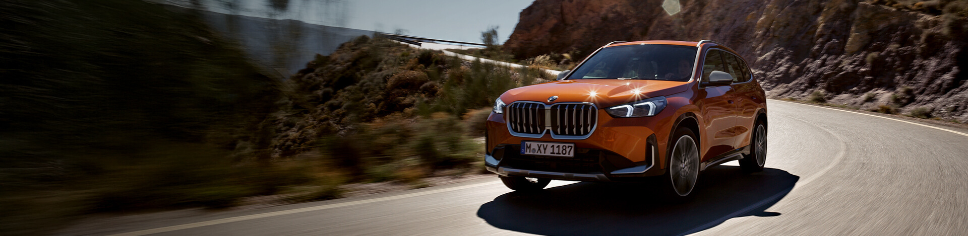 The BMW X1