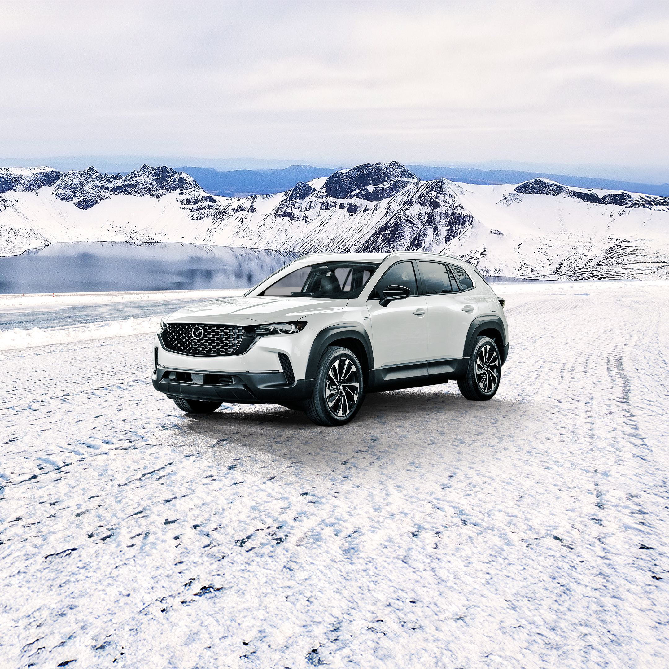 Mazda Service Offer