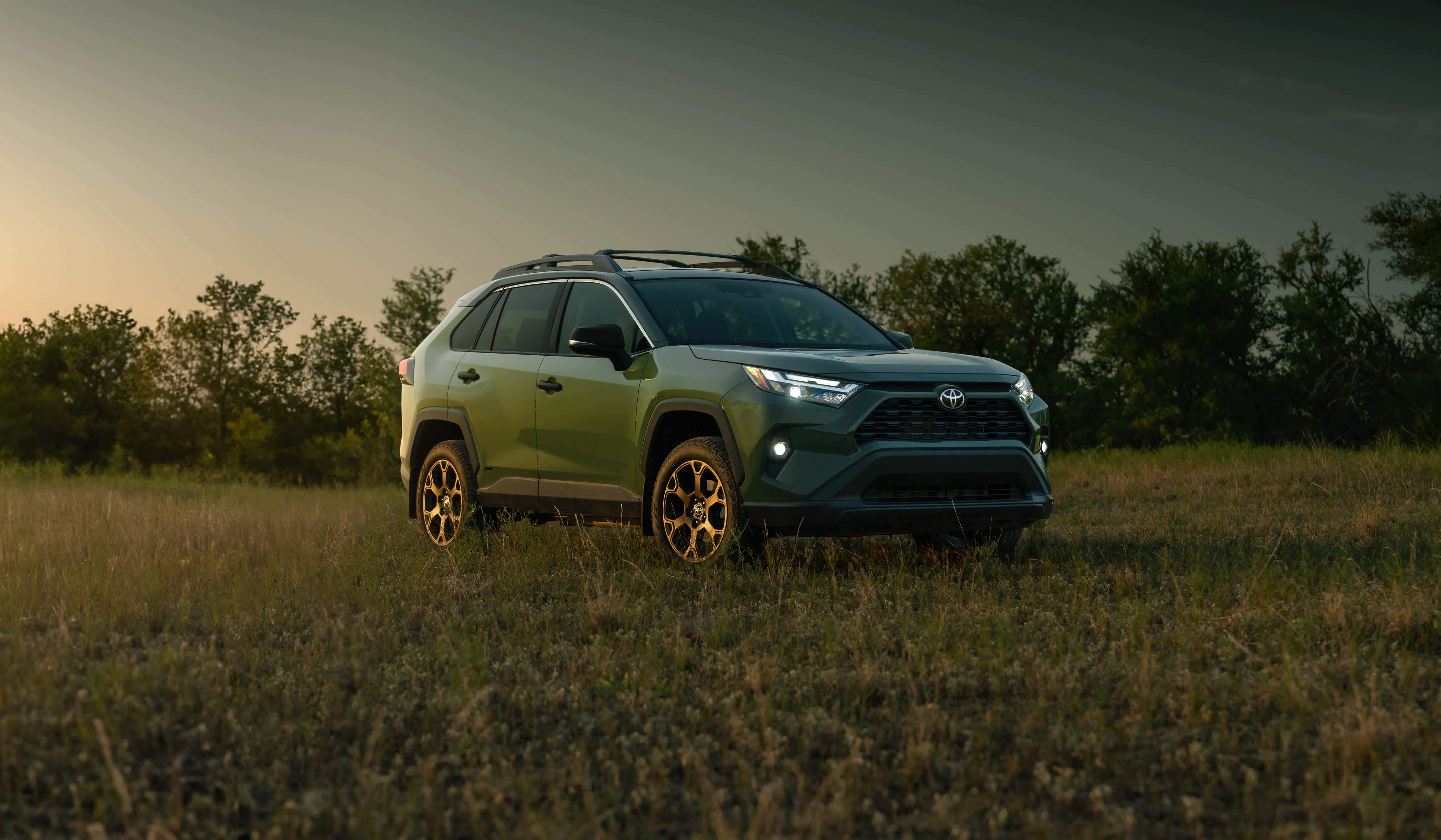 A green Toyota RAV4 Woodland edition in the middle of a grassy field.